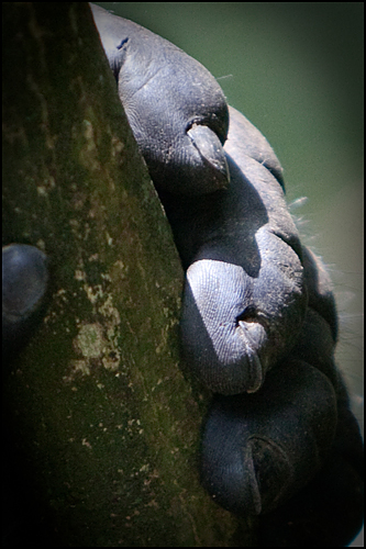 Uganda5265 Uganda5265