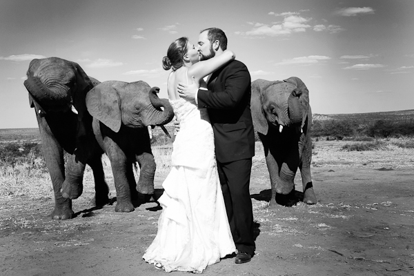 africanwedding55369